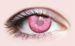 Primal Contact Lenses | Embryo