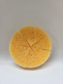 Break Apart Face Painting Sponge (2 3/4 inch) | Single