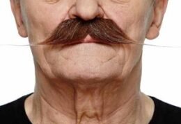 English Moustache | Brown and White