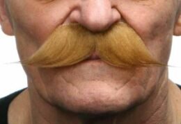English Moustache | Light Brown