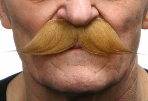 English Moustache | Light Brown