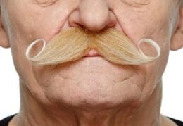 Curled Dapper Moustache | Blonde and White