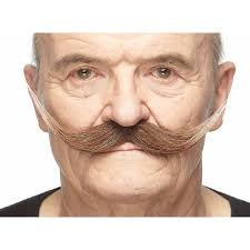 Dali Moustache | Brown and White