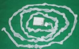 MOUTH COILS #12  White  FT