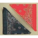 Bandana  Blue