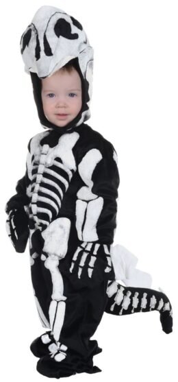 Stegosaurus Fossil | Infant Small
