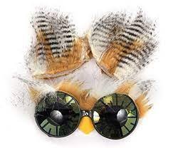 Owl Costume Kit