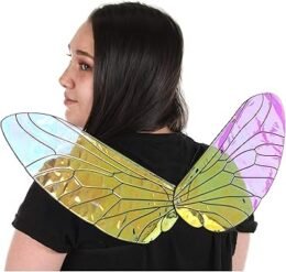 Holographic Bee Wings