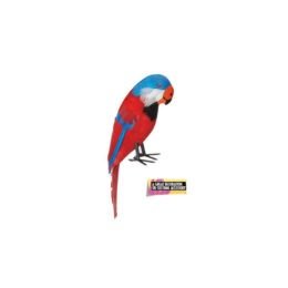 Parrot