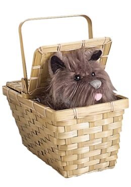 Deluxe Toto in a Basket