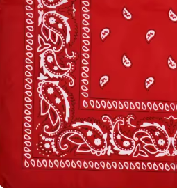 Bandana | Red