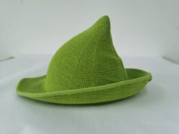 Short Salem Witch Hat | Green