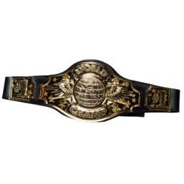 Championship Belt