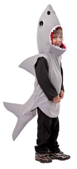 Sand Shark Small