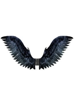 Raven Cosplay Wings