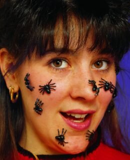 Spiders  40 pack