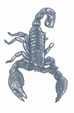 Prison Tottoo | Scorpion