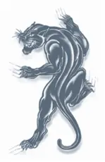 Prison Tattoo | Panther