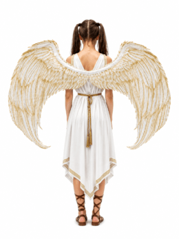 Fabric Angel Wings | One Size