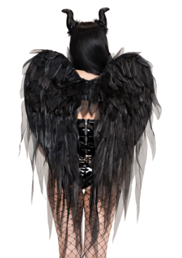 Dark Enchantress Wings & Horn Set