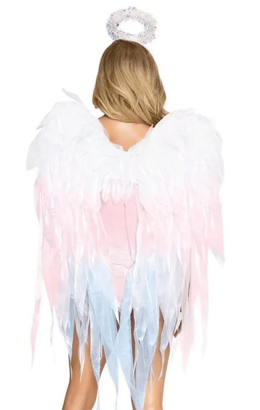 Angel Ombre Wings & Headband