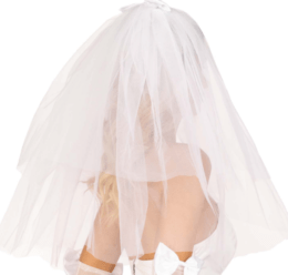 Tiered Bridal Veil With Bow | White