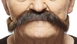 Imperial Moustache | Brown and Red