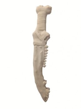 The First Blade | 3D Printed