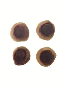 Holy Holes | Sharpe Mark Prosthetics